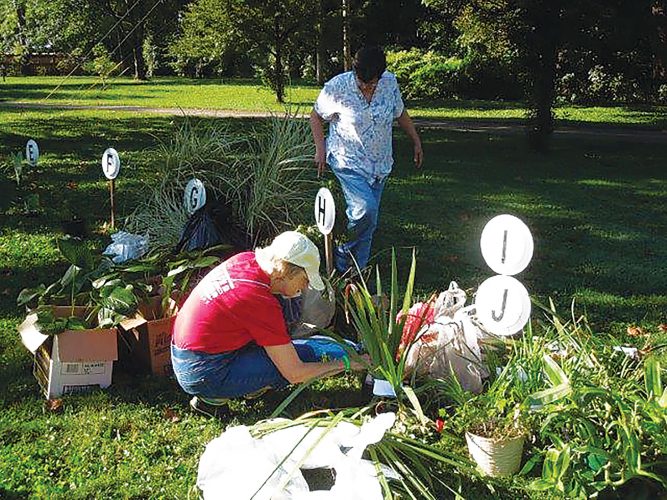 Bring One… Take One Flower and Seed Exchange returns Saturday News, Sports, Jobs Marietta Times